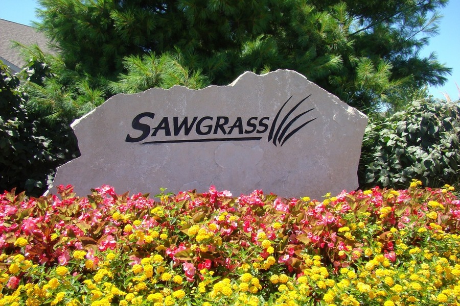 Sawgrass