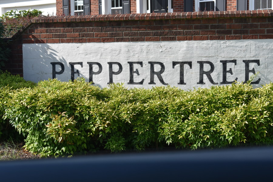 Peppertree