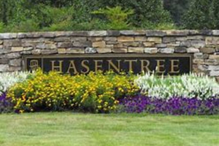 Hasentree
