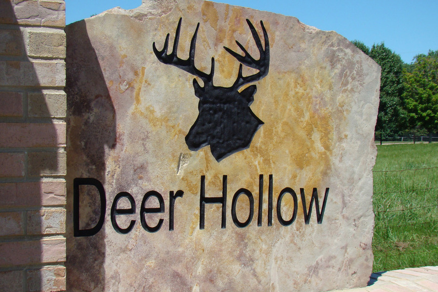 Deer Hollow