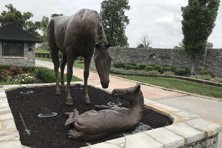 Equestrian Lakes