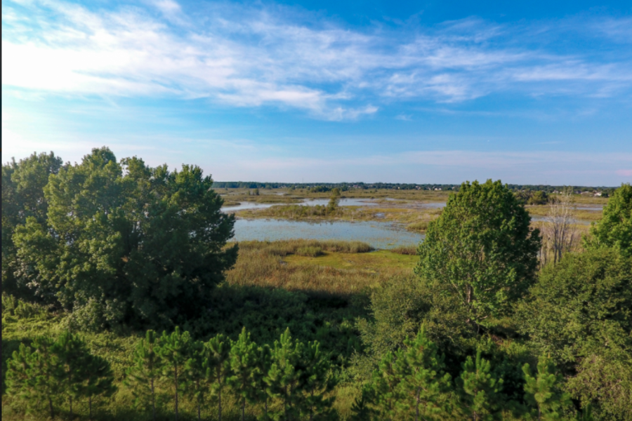 Preserve at Sunrise