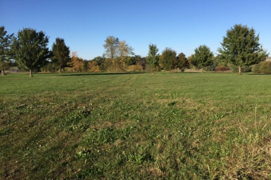 Old Peoria Road