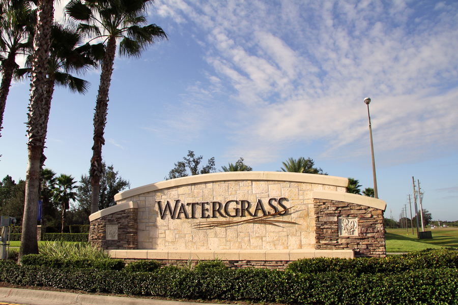 WATERGRASS