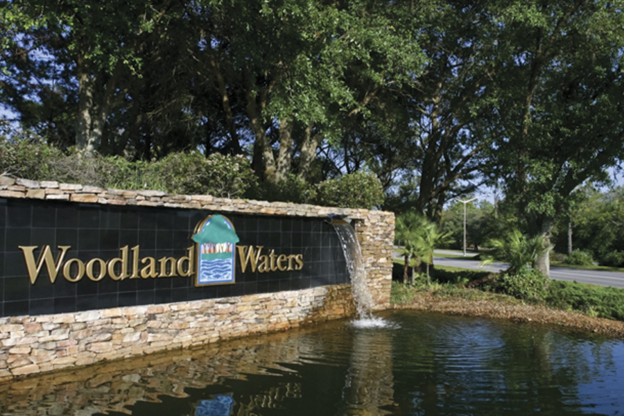 WOODLAND WATERS