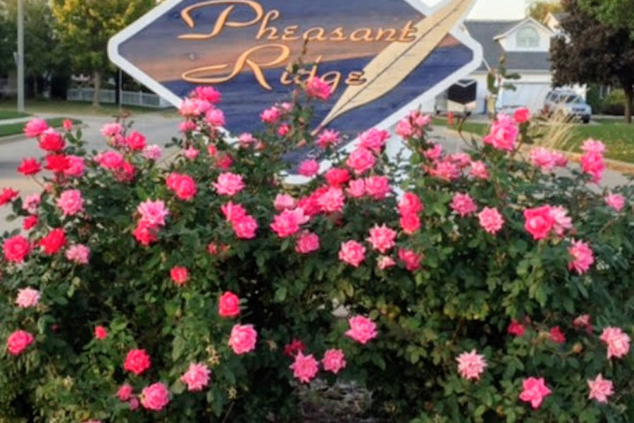 Pheasant Ridge
