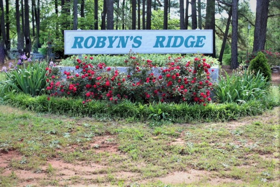 Robyn's Ridge