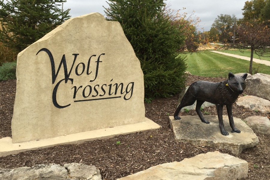 Wolf Crossing