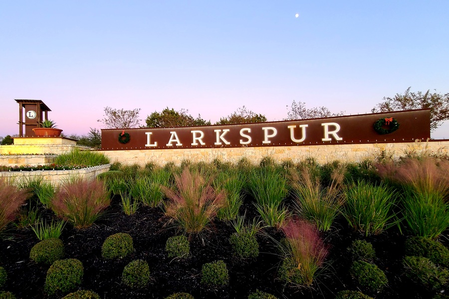 Larkspur