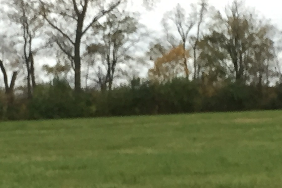 Trailside Estates