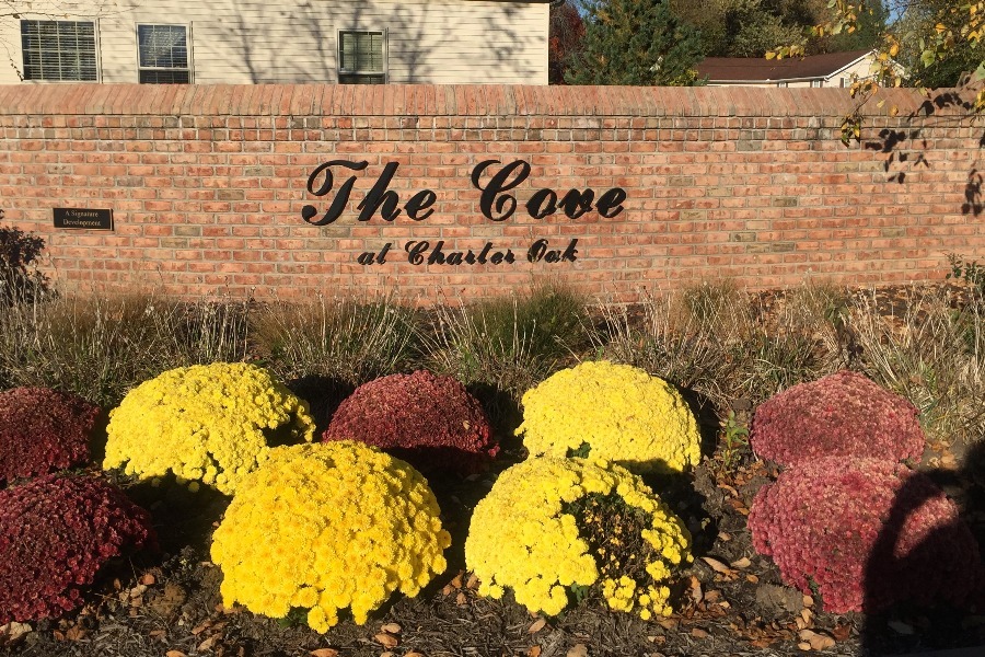 The Cove at Charter Oak