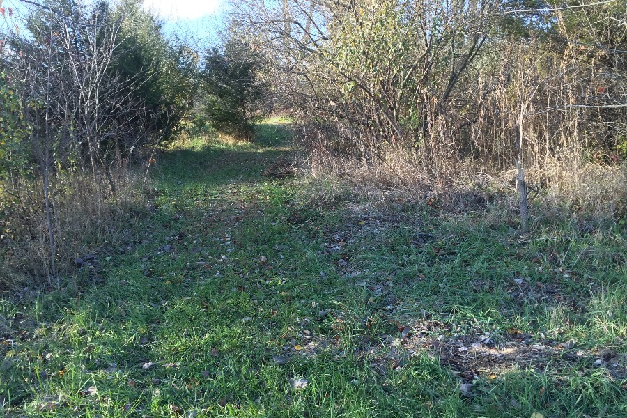 Jubilee Hollow
