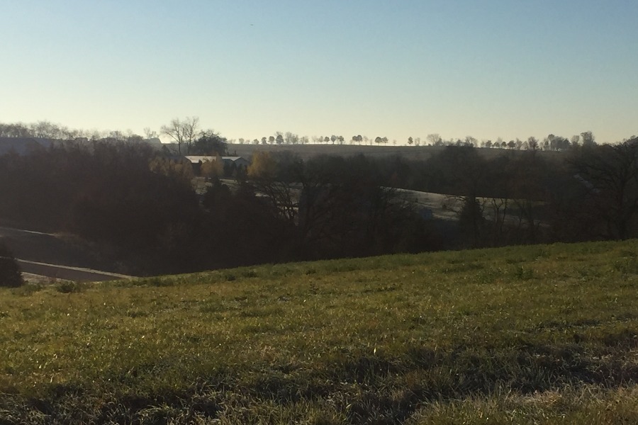 Wienen View
