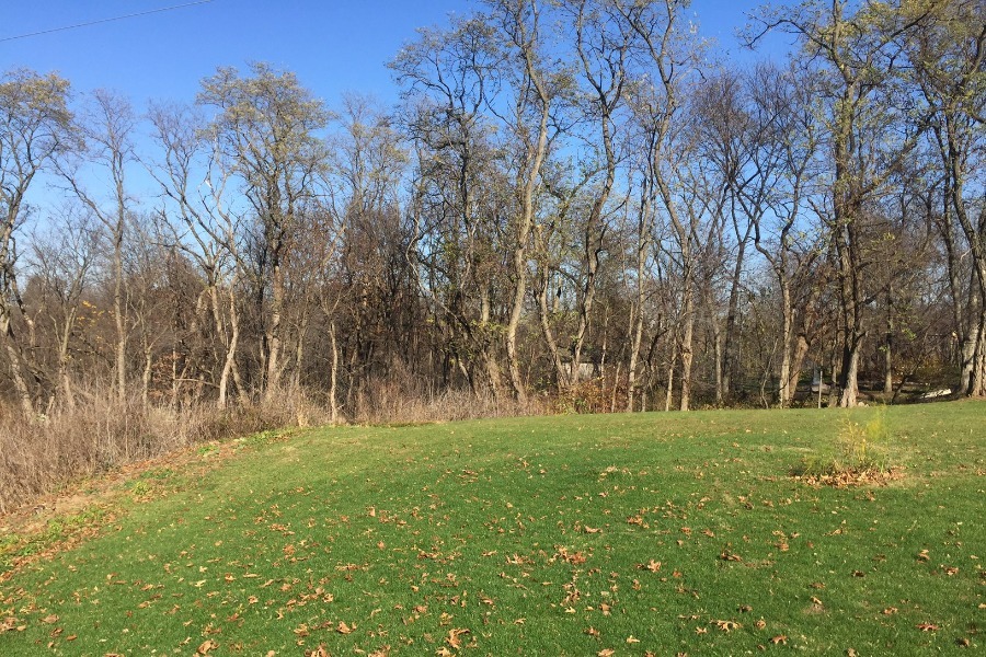 Deer Run
