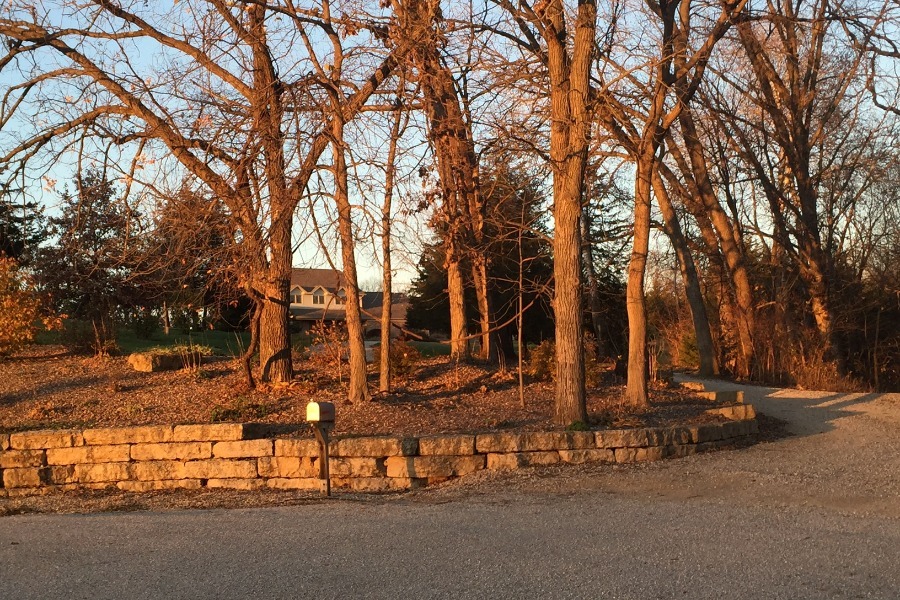Horseshoe Hills