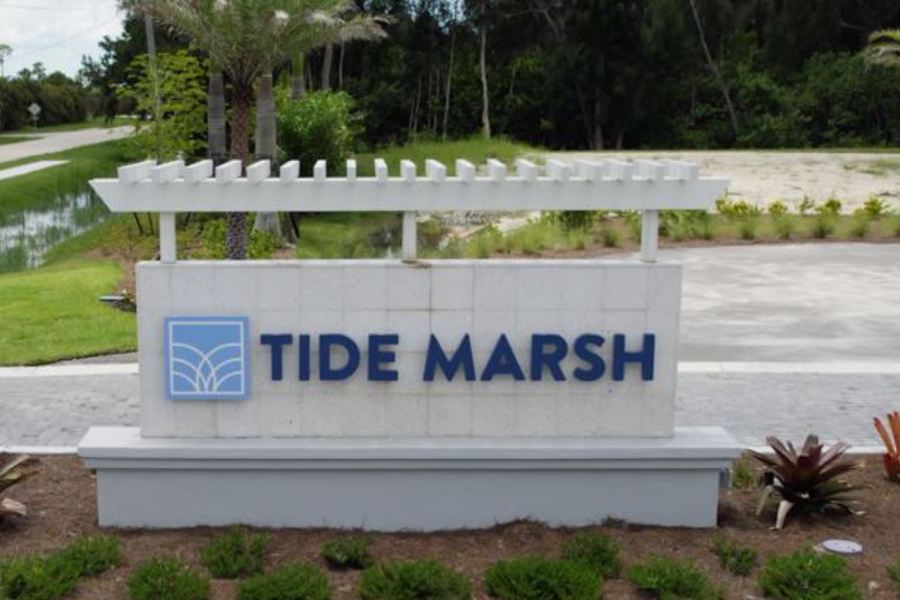 Tide Marsh