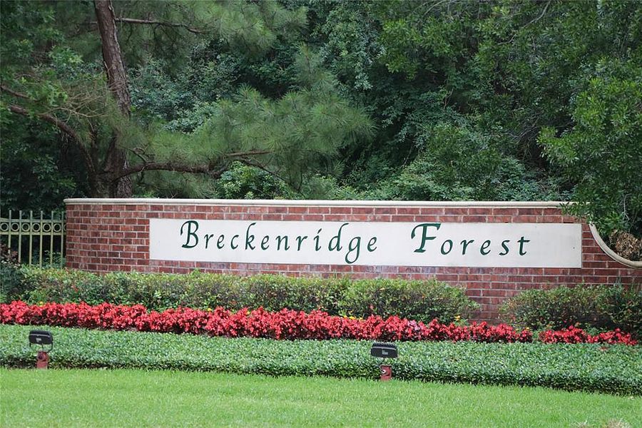Breckenridge Forest