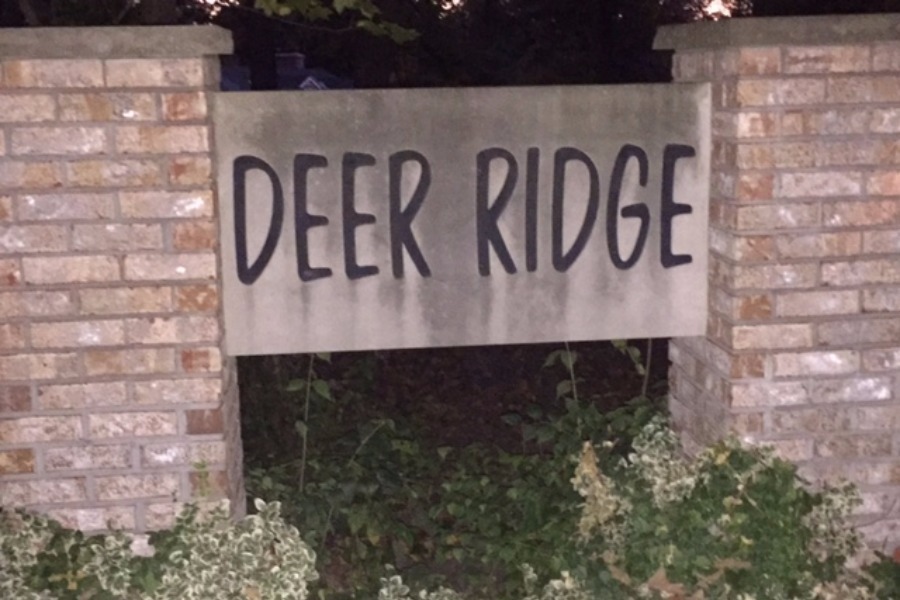 Deer Ridge