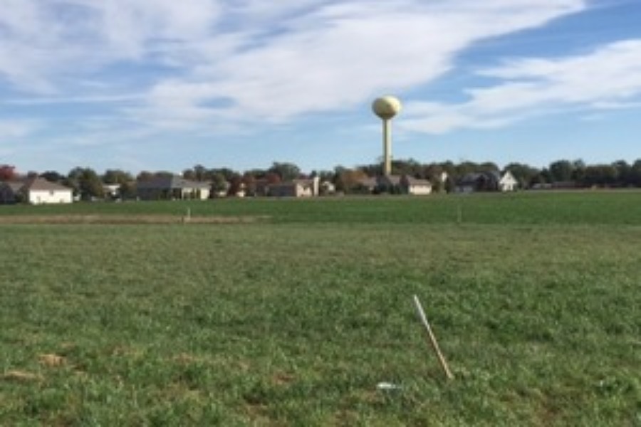 Kingwood Meadow