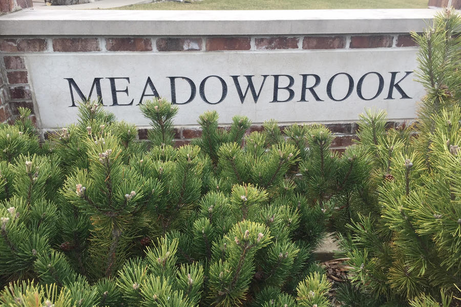 Meadowbrook