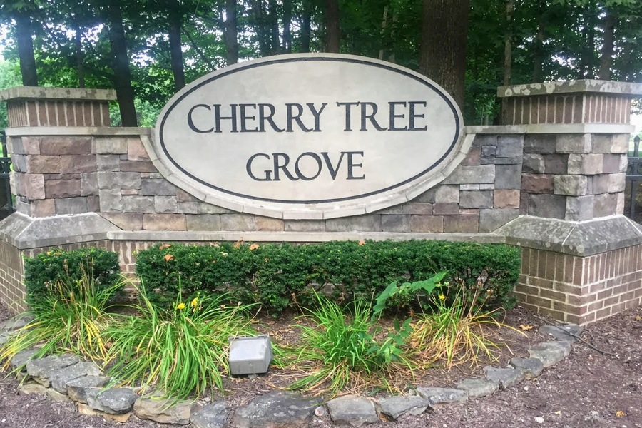 Cherry Tree Grove