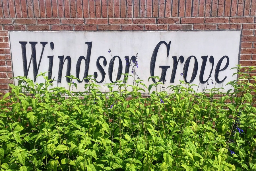 Windsor Grove