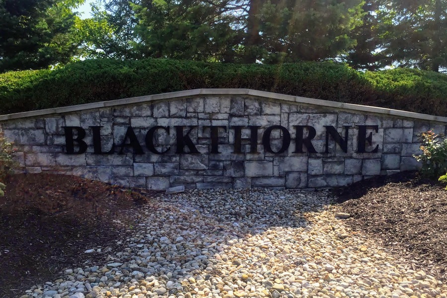 Blackthorne