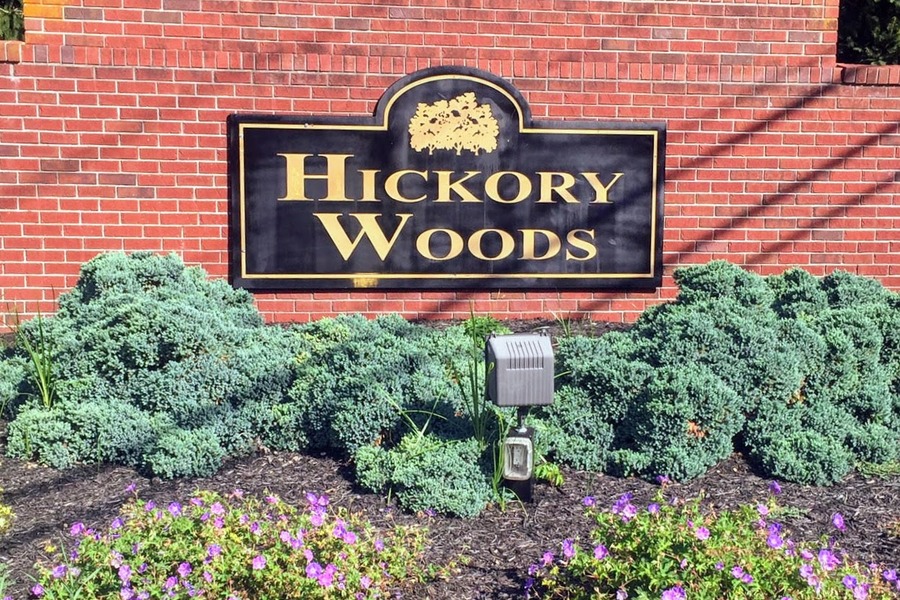 Hickory Woods