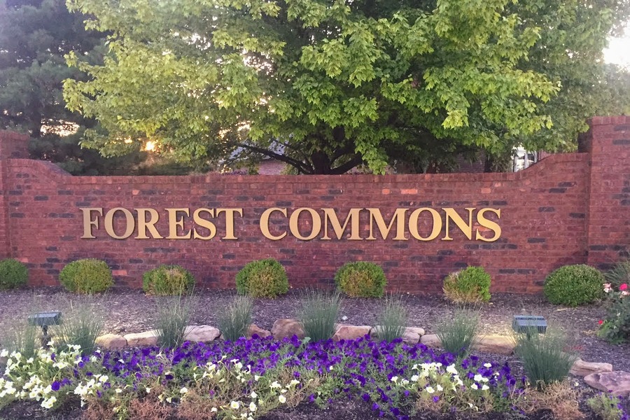 Forest Commons