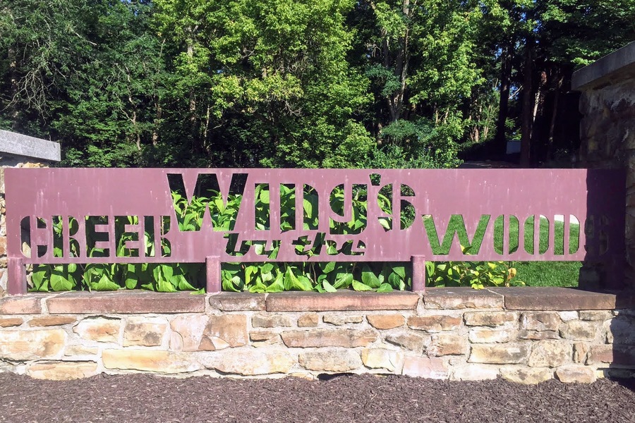 Wing's Creek by the Woods
