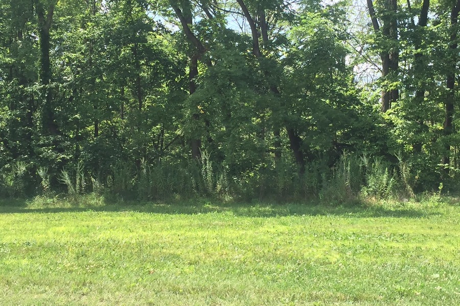 Rhoton Estates