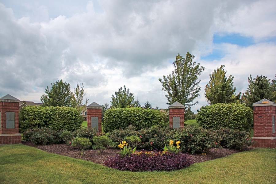 Maple Knoll