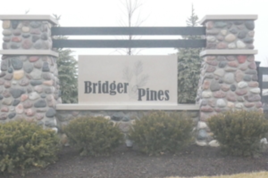 Bridger Pines