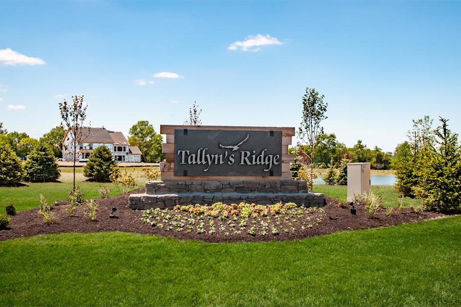 Tallyn's Ridge