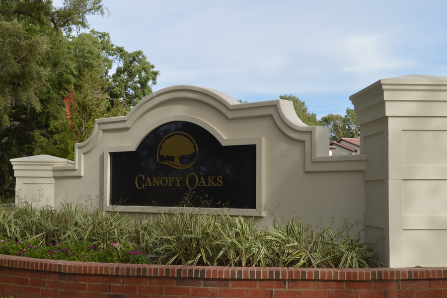 Canopy Oaks - Winter Garden