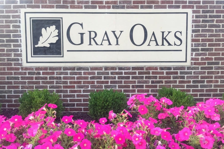 Gray Oaks