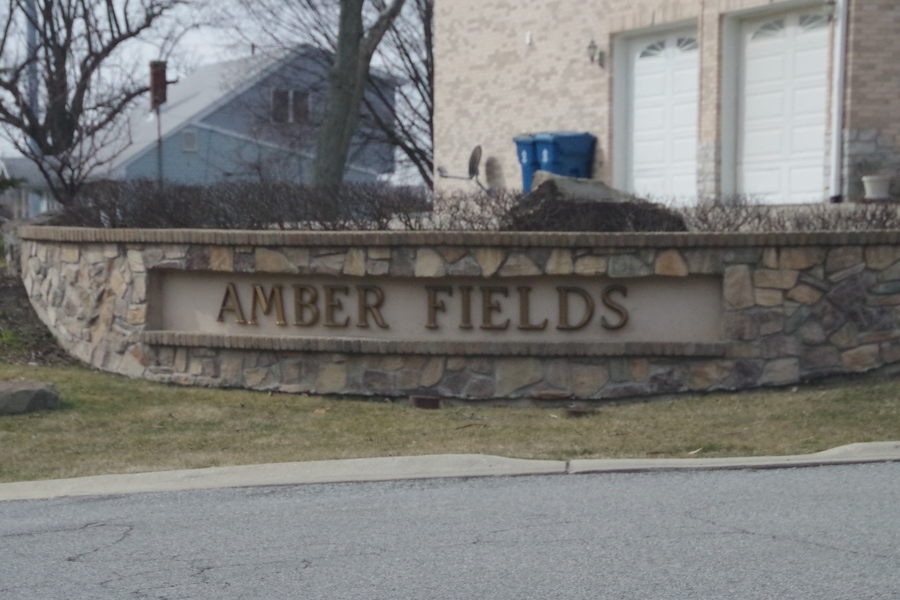 Amber Fields