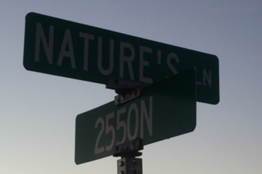 Nature's Lane
