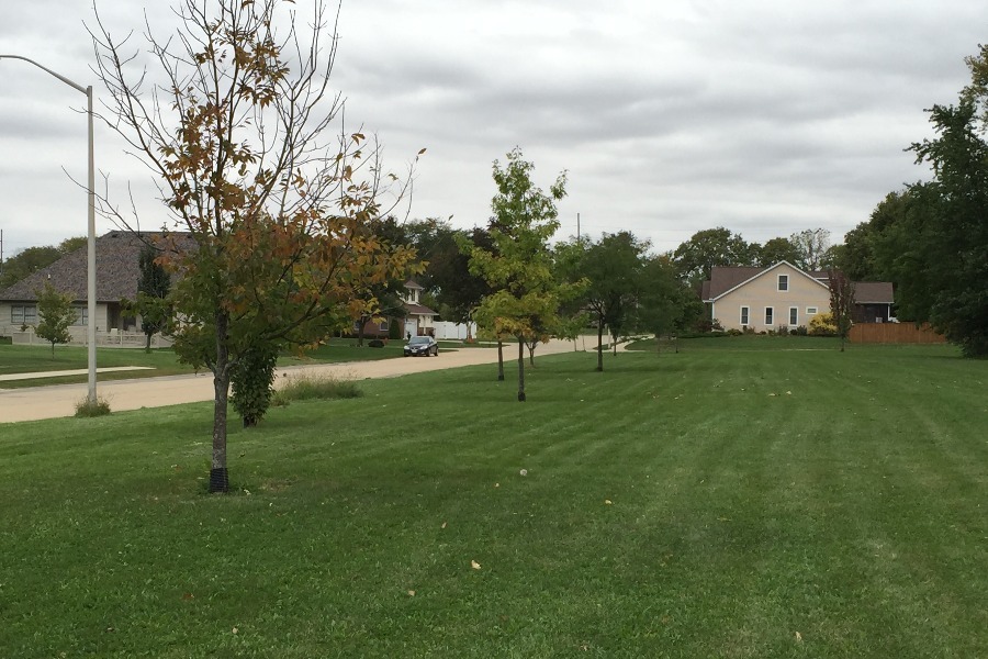 Indian Hills