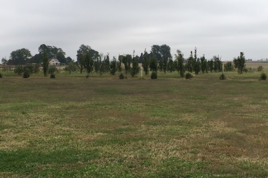 Heritage Ranch